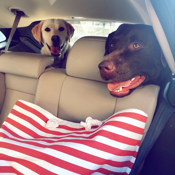 Meet your Posher, Snowwhite - Picture 10 of 13